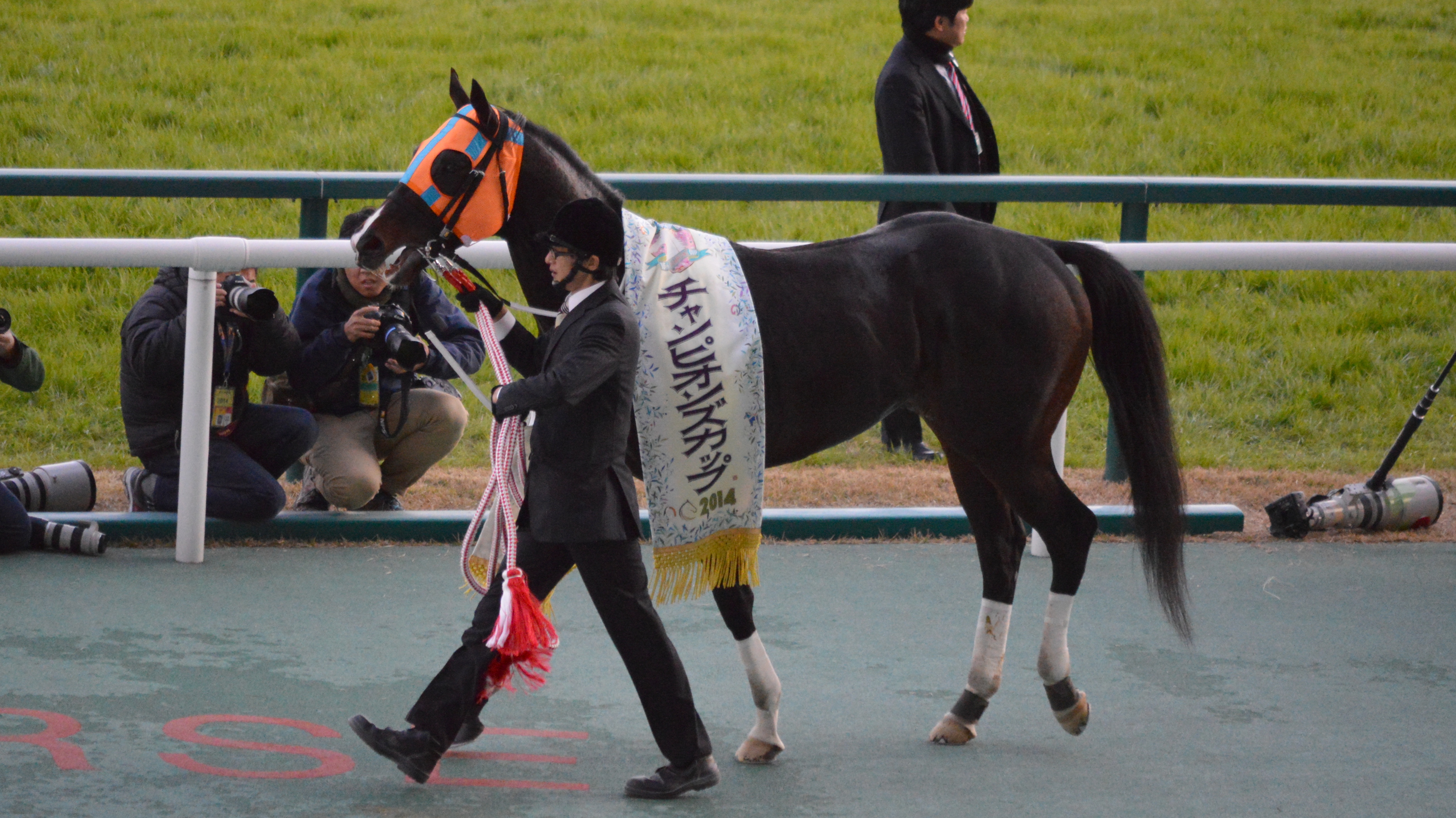 競馬ホッコータルマエ　引退記念キャップ