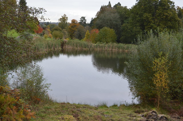 File:Lake, Bedgebury Pinetum - geograph.org.uk - 4726227.jpg