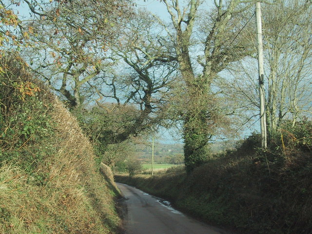 File:Lane to Ratsloe - geograph.org.uk - 1603408.jpg