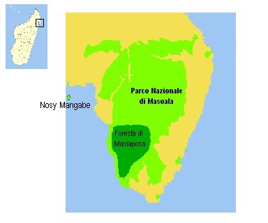 File:Lepilemur scottorum distribution.jpg