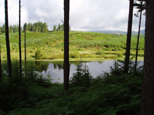 File:Loch of the Lowes. - geograph.org.uk - 514820.jpg