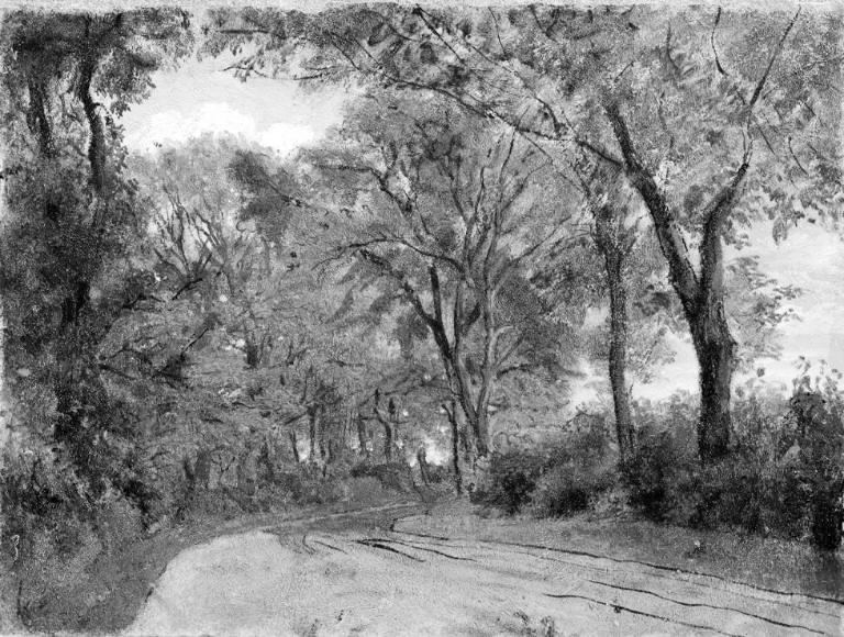 Bestand:Lorenz Frølich - Winding Lane in a Wood - KMS7043 - Statens Museum for Kunst.jpg