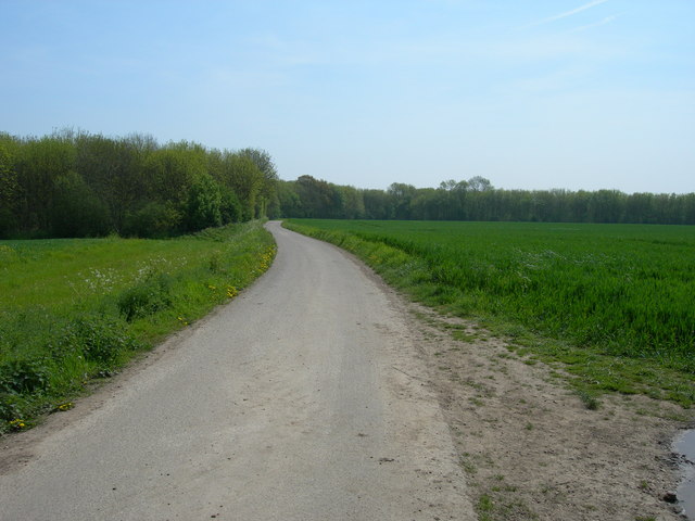 North Downs Way, Cuxton - geograph.org.uk - 805879