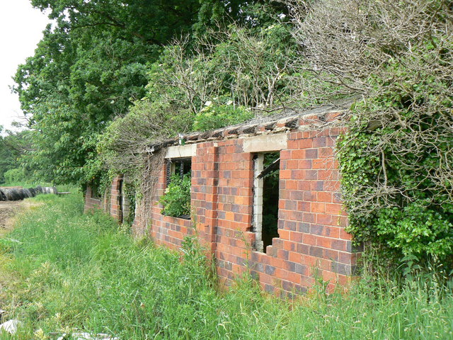 File:Overgrown Building - geograph.org.uk - 868325.jpg