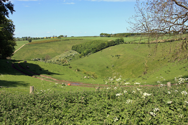 File:Painsthorpe Dale - geograph.org.uk - 1319146.jpg