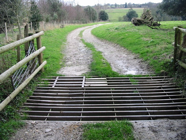 File:Parkland beyond the cattle grid - geograph.org.uk - 347545.jpg