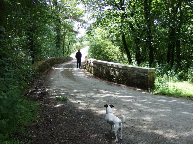 File:Pont Mynachclogddu - geograph.org.uk - 1407418.jpg