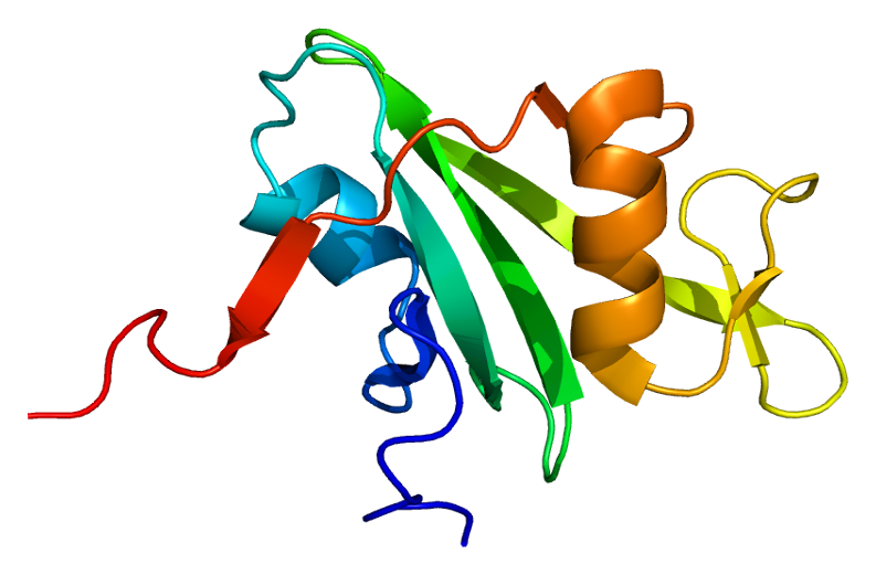 File:Protein ABL1 PDB 1ab2.png