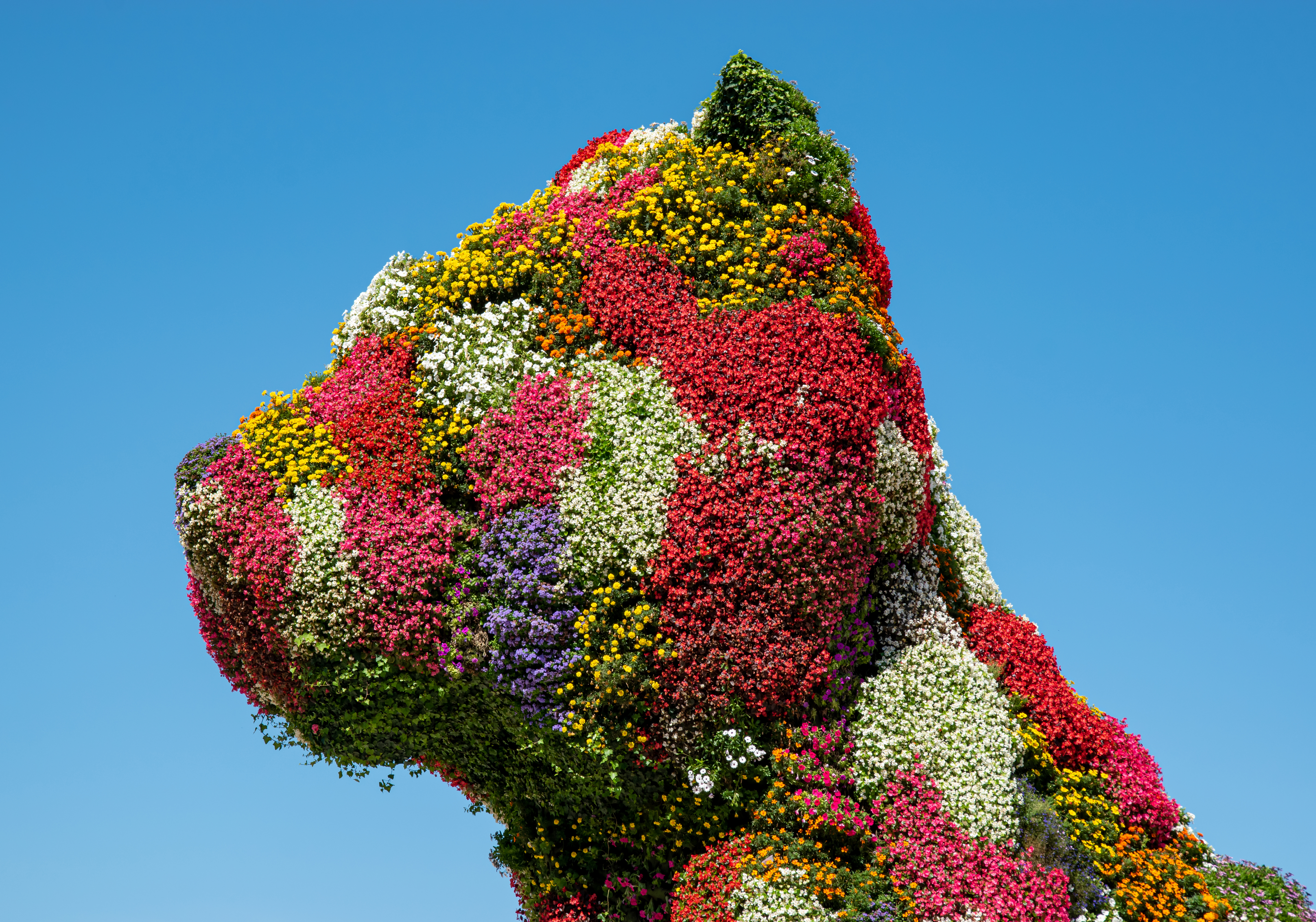 Detalle de la escultura [[topiaria