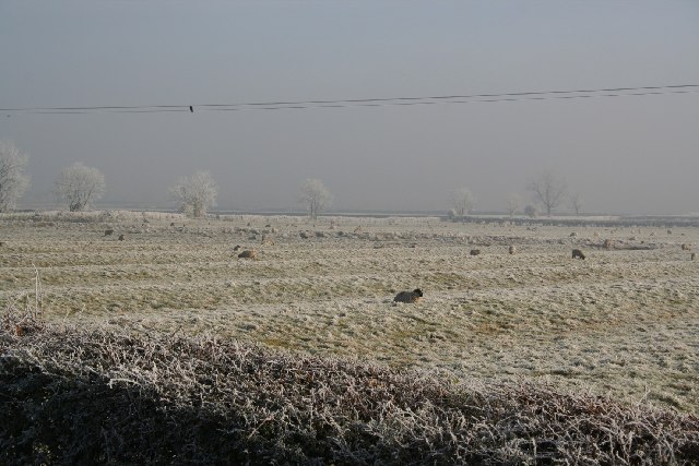 File:Ridge and Furrow - geograph.org.uk - 81062.jpg