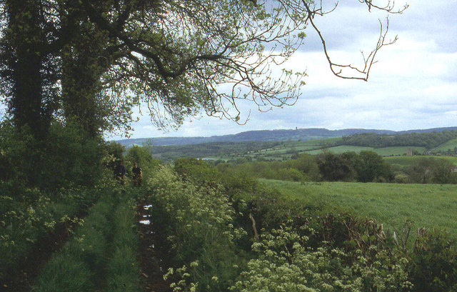 File:Southern end of Creech Hill - geograph.org.uk - 288316.jpg