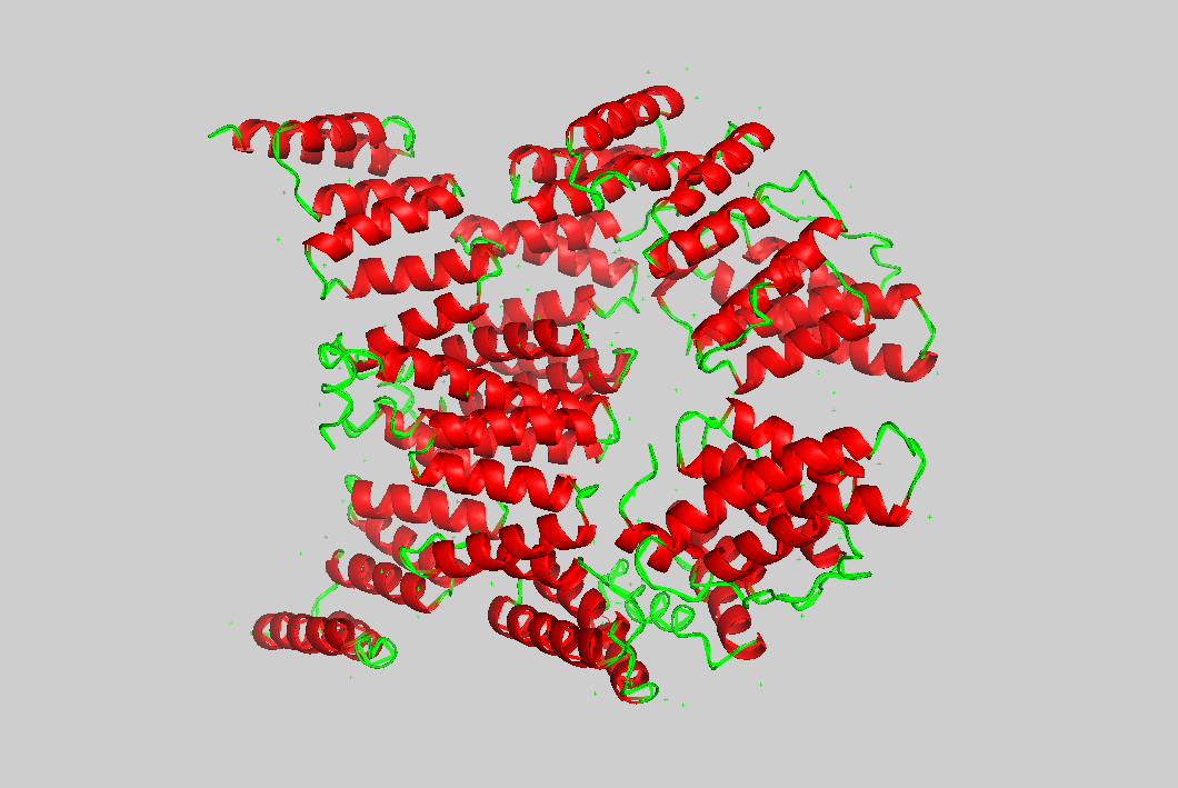 Антитела к saccharomyces cerevisiae