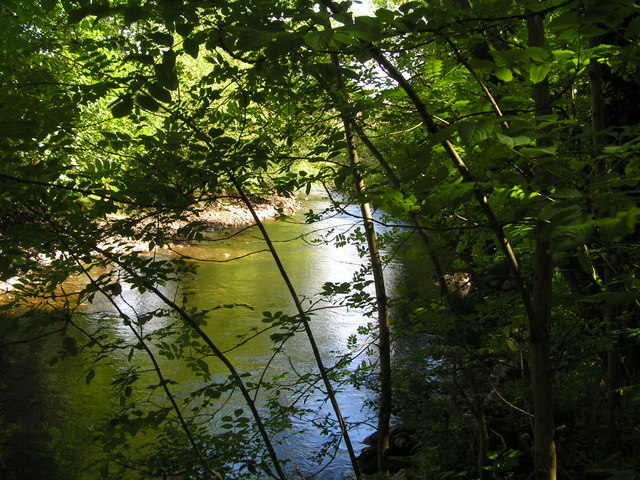 The River Esk, looking upstream - geograph.org.uk - 1059738