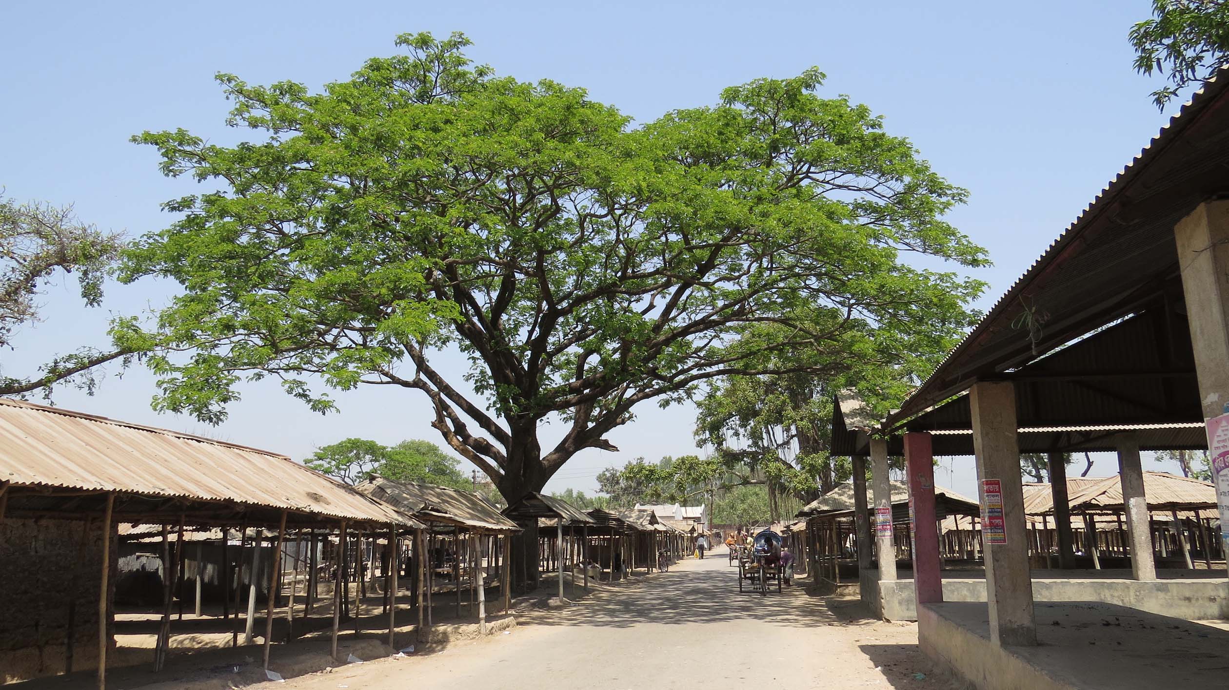 Village Market