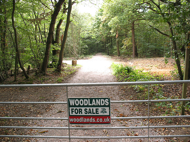 File:Woodlands for sale - geograph.org.uk - 1476285.jpg