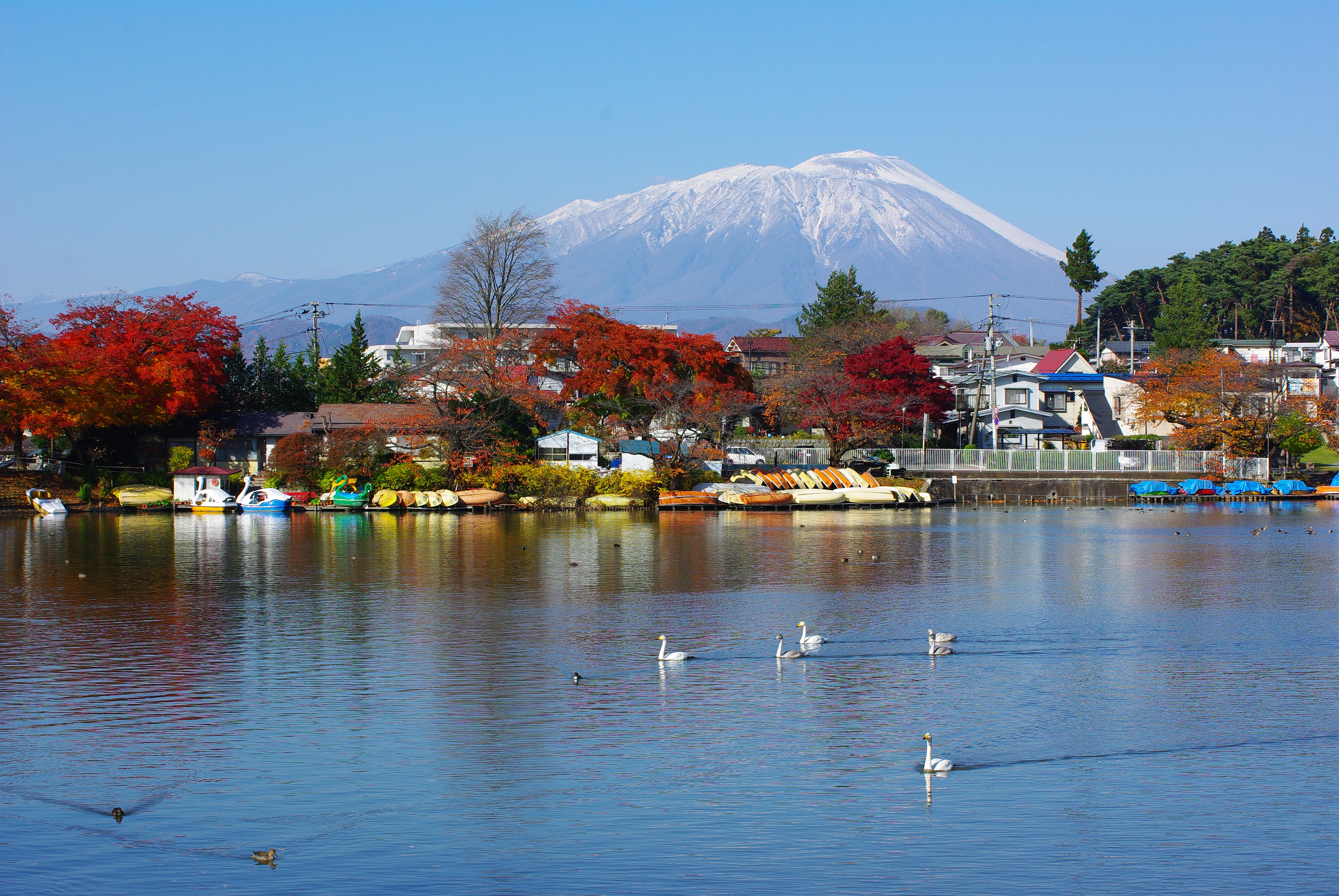 File 高松の池と岩手山takamatsu No Ike Pond Mt Iwate Panoramio Jpg 维基百科 自由的百科全书