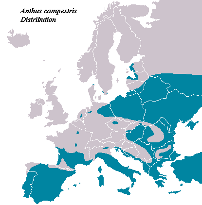 File:AnthusCampestris distribution.PNG