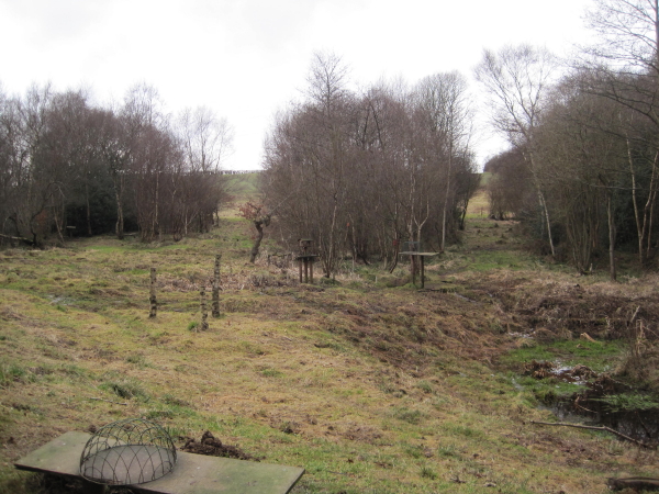 Bird Feeding Station Thornley Woods - geograph.org.uk - 2323029