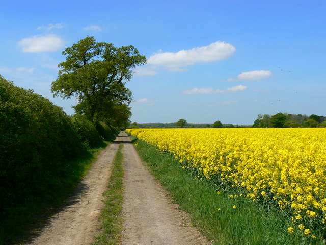 File:Bridleway near Hannington, Swindon - geograph.org.uk - 418650.jpg