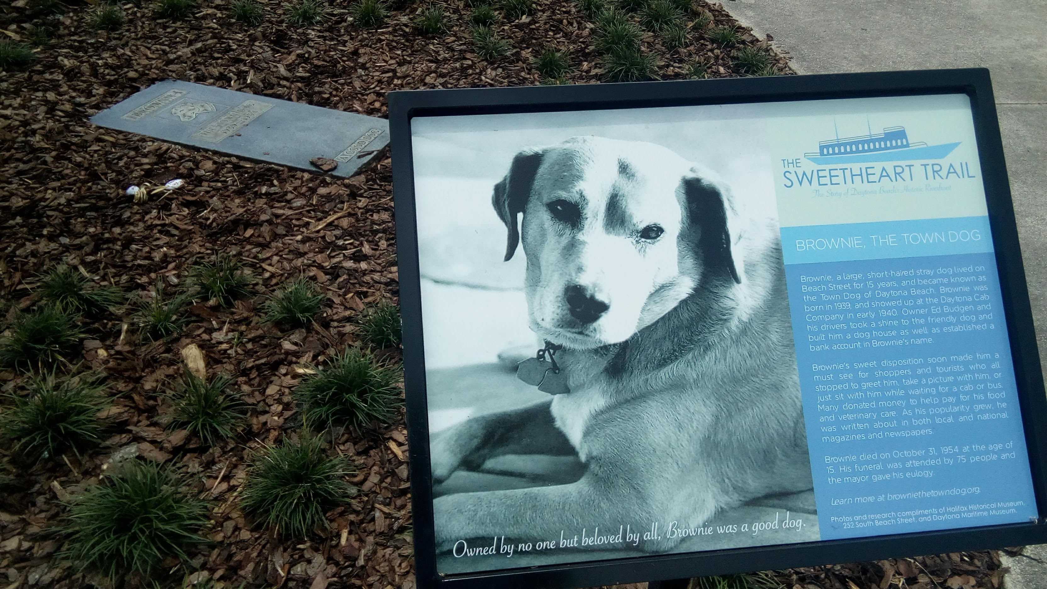 File:Brownie the Town Dog Grave and Memorial in Daytona Beach Florida 03.jpg - Wikimedia Commons