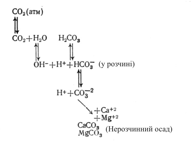 File:Carbon-system.jpg