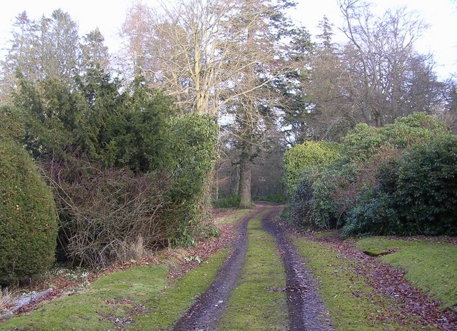 File:Driveway to Burnside House - geograph.org.uk - 329470.jpg