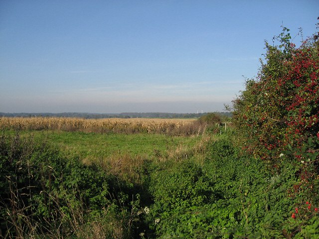 File:Fallow And Productive - geograph.org.uk - 293972.jpg