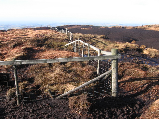 File:Fenced area for re-vegetation experiment - geograph.org.uk - 1123742.jpg