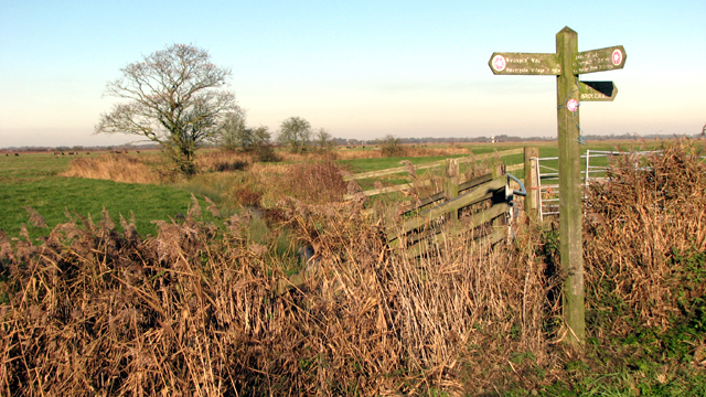 File:Fingerposts in the Halvergate Marshes - geograph.org.uk - 5210028.jpg