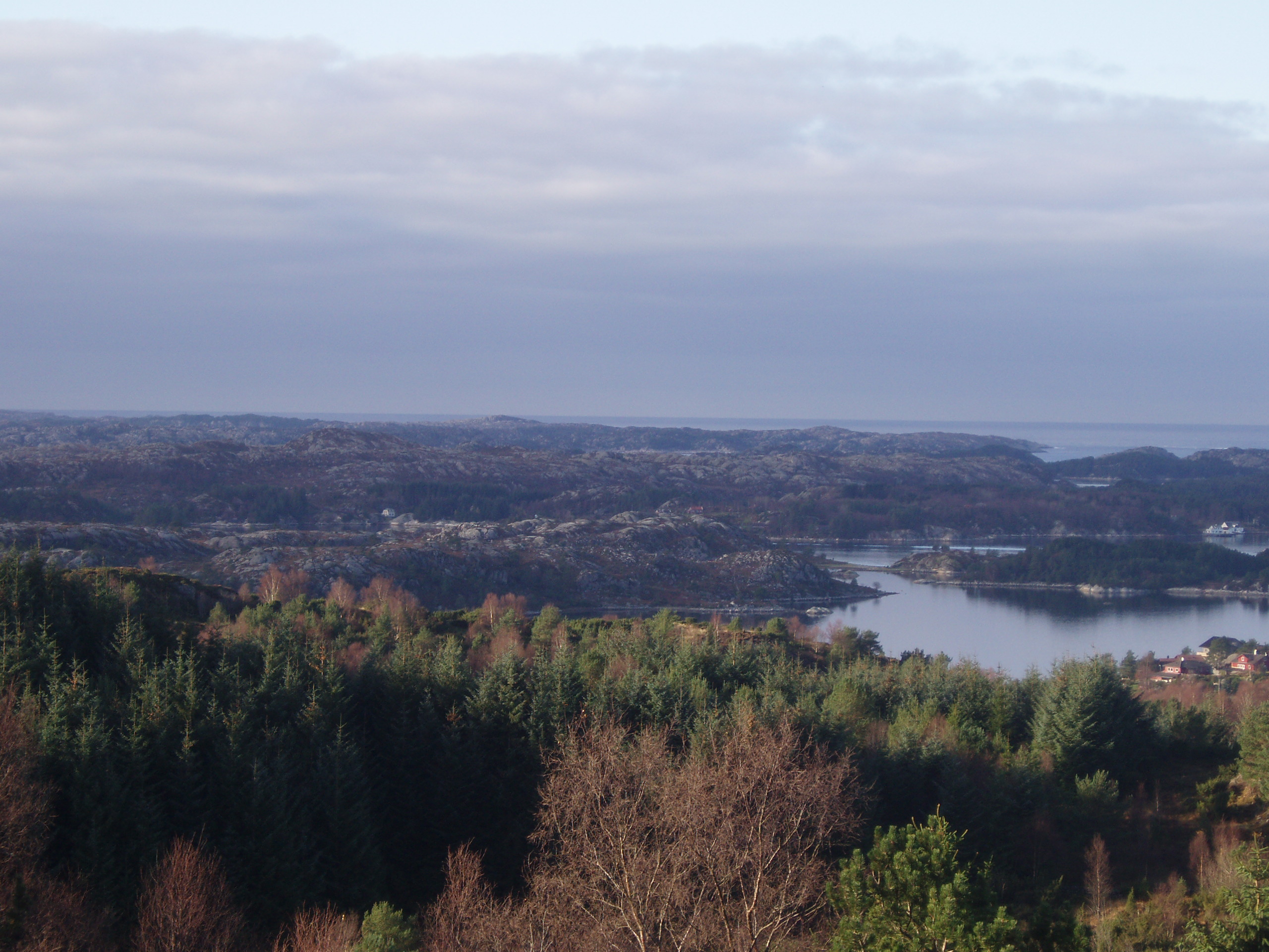 Scandinavian coastal conifer forests - Wikipedia