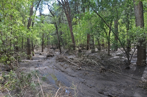 File:Frijoles Canyon flood 4.jpg