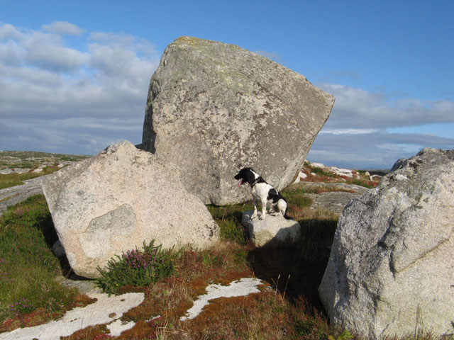 File:Glacial erratics - geograph.org.uk - 1453615.jpg