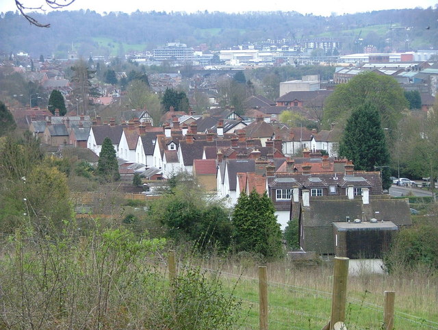 File:Hughenden Road back gardens from White Hill - geograph.org.uk - 395130.jpg