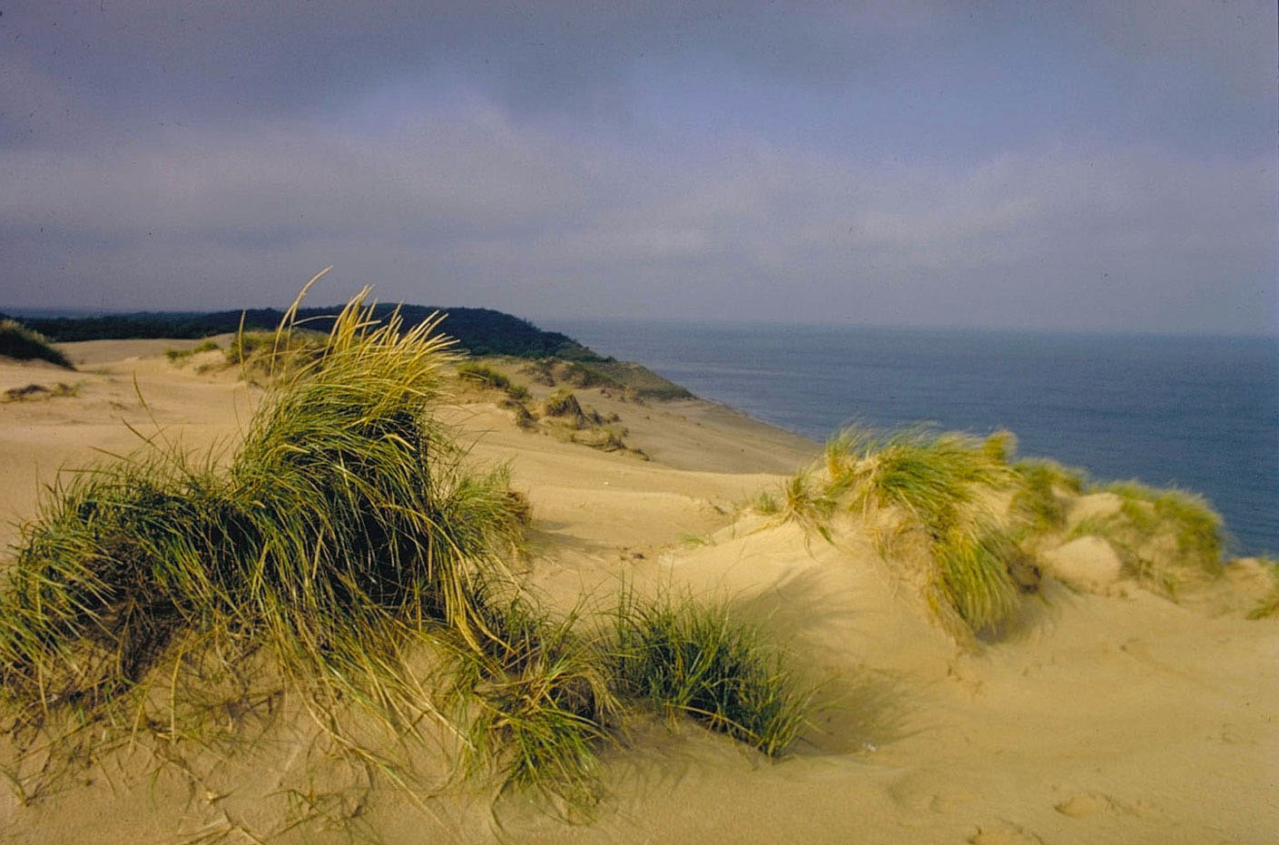 Indiana Dunes National Lakeshore | National Parks Near Indianapolis