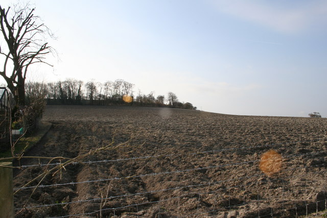 File:Looking up the hill - geograph.org.uk - 707862.jpg