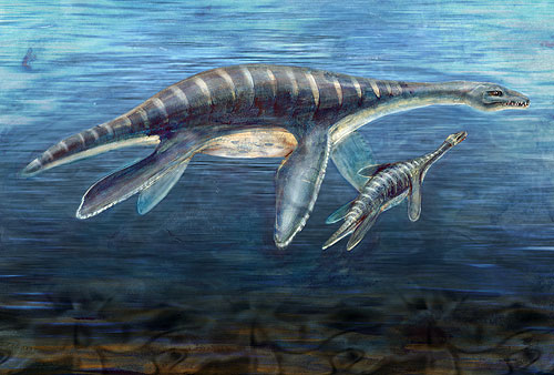 File:Mother and Juvenile Plesiosaur (3704449331).jpg - Wikimedia Commons