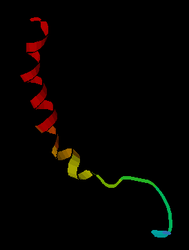 <span class="mw-page-title-main">Neuropeptide Y</span> Mammalian protein found in Homo sapiens