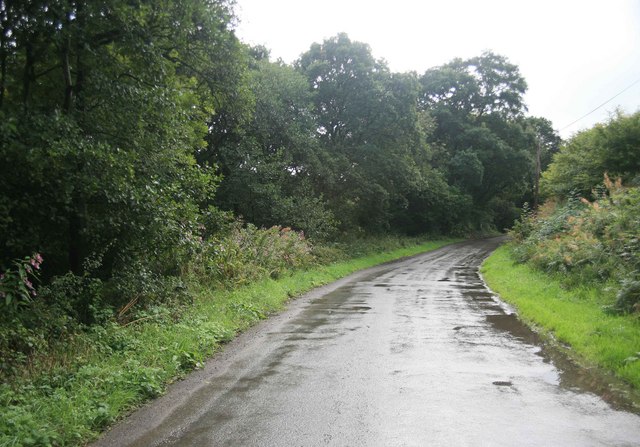 Puddles alongside the Grogley Rd - geograph.org.uk - 2098805