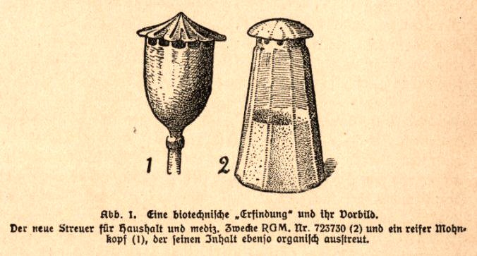 File:Raoul Heinrich Francé Poppy and Pepperpot from Die Pflanze als erfinder 1920.jpeg