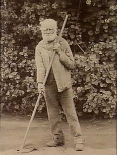 File:Sammy Cox, Tasmania, 1890.jpg