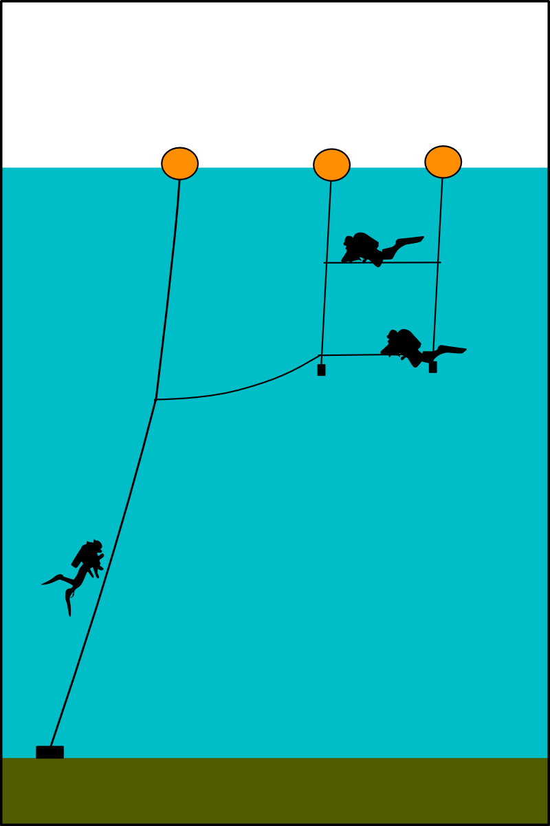 Padi Emergency Action Plan Flow Chart