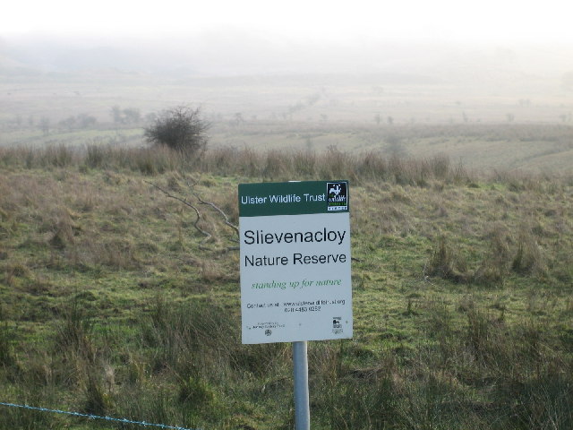 File:Slievenacloy Nature Reserve - geograph.org.uk - 93366.jpg