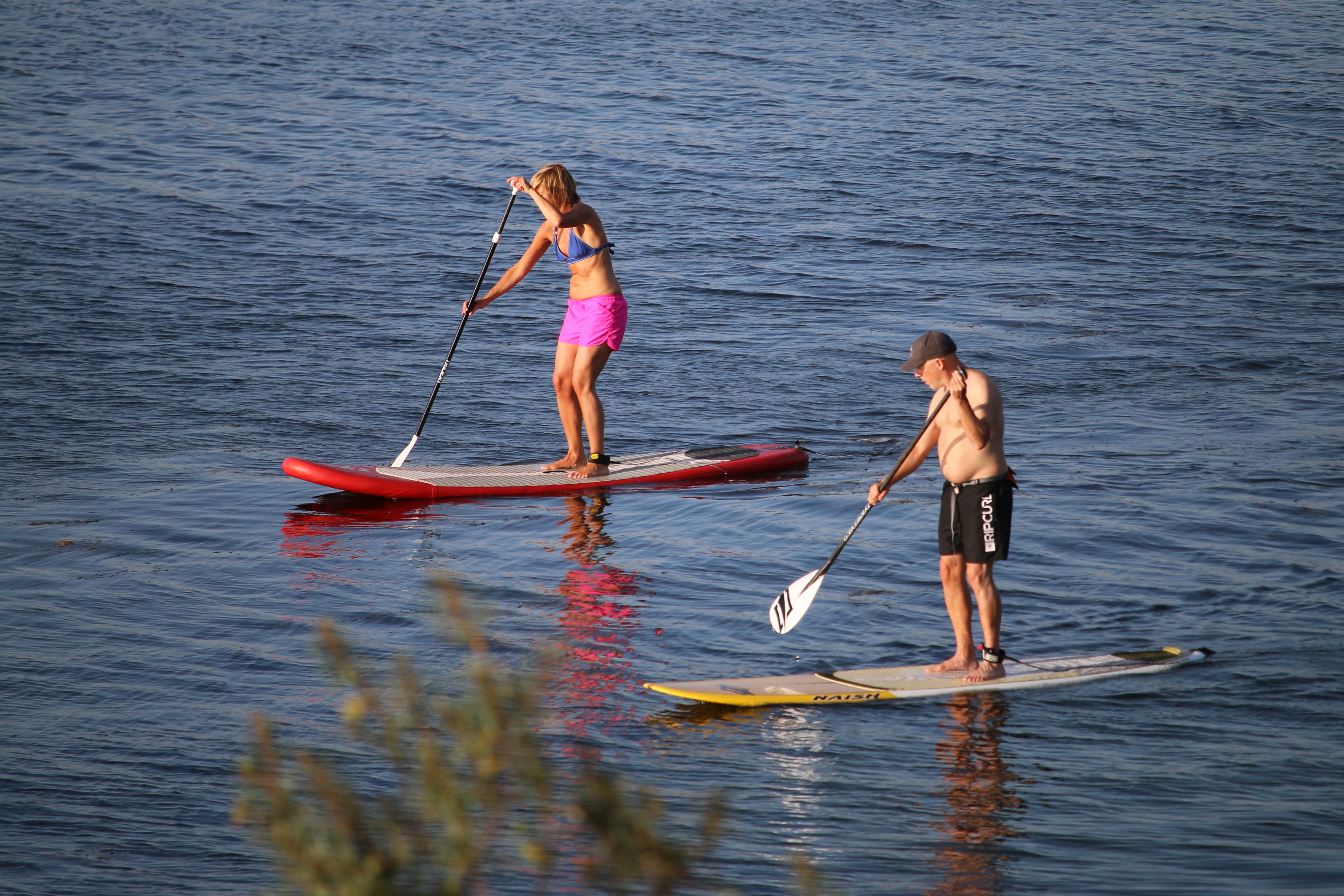 Standup paddleboarding - Wikipedia