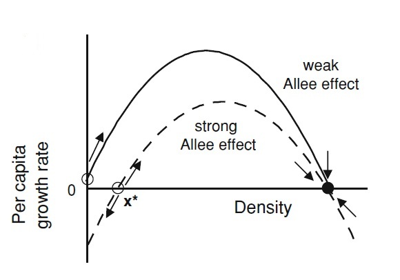 File:Strong and Weak Allee effect.jpg