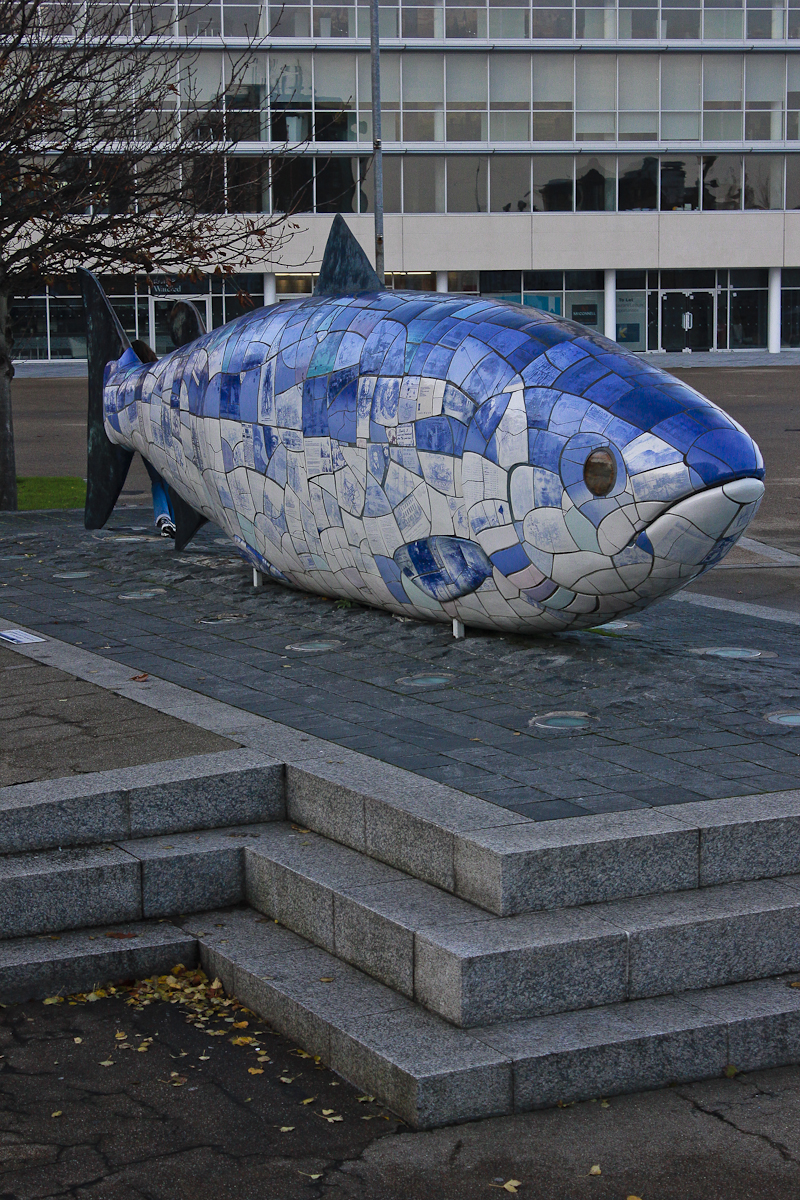 Big Fish - Wikipedia