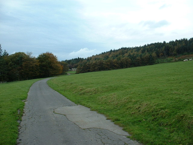 File:The Road to Bleasdale Tower - geograph.org.uk - 72068.jpg