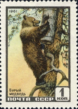 File:The Soviet Union 1961 CPA 2535 stamp (Brown Bear) (Line perforation).jpg