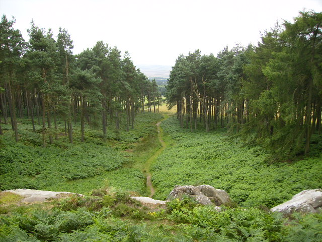 The path leading to St Cuthbert's Cave - geograph.org.uk - 517111