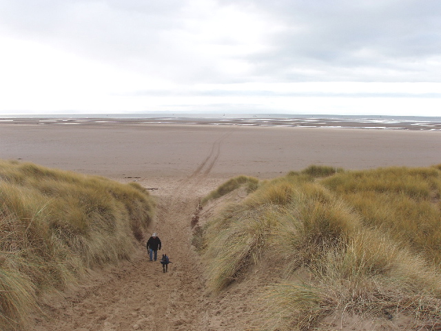 File:Track through Raven Meols Hills sand dunes - geograph.org.uk - 96419.jpg