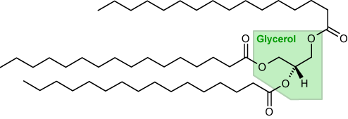 File:Tripalmitoylglycerol.png